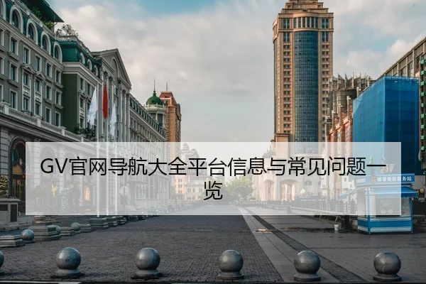 GV官网导航大全平台信息与常见问题一览
